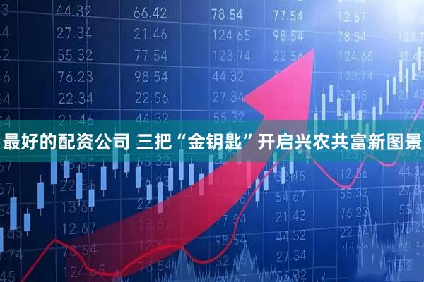 最好的配资公司 三把“金钥匙”开启兴农共富新图景