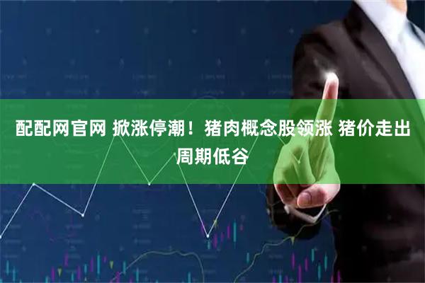 配配网官网 掀涨停潮！猪肉概念股领涨 猪价走出周期低谷